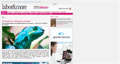 Desktop Screenshot of laborundmore.com